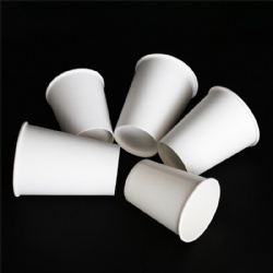 Compostable Coffee Cup